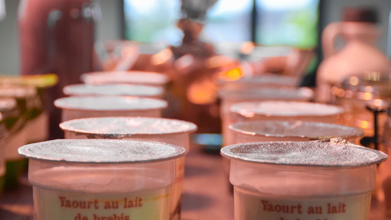 Photo of Others in Millau