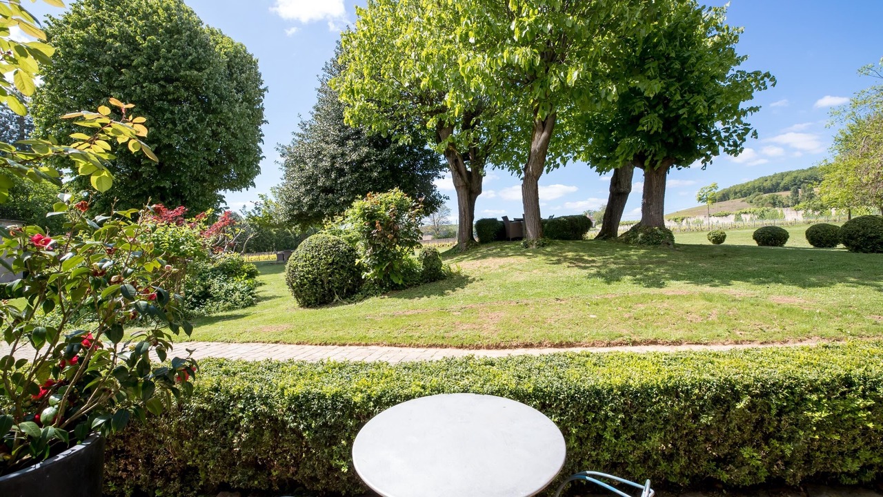 Photo of Outdoor in Aloxe-Corton