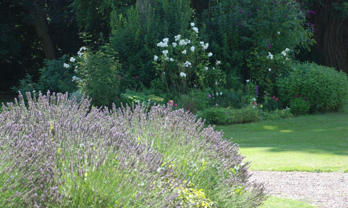 Photo of Outdoor in Saint-Paterne