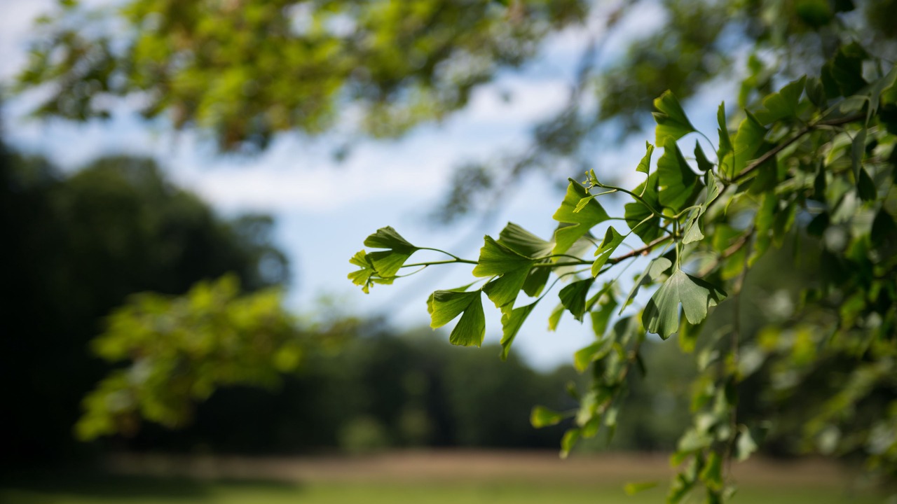 Photo of Outdoor in Sassetot-le-Mauconduit