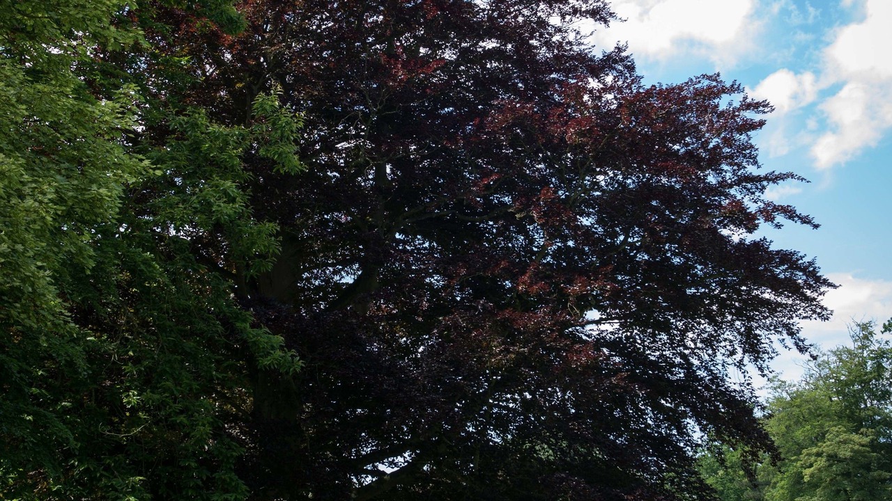 Photo of Outdoor in Sassetot-le-Mauconduit