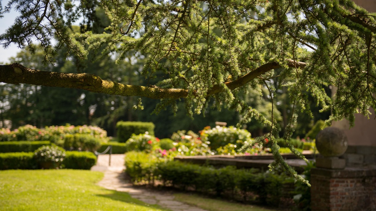 Photo of Outdoor in Sassetot-le-Mauconduit