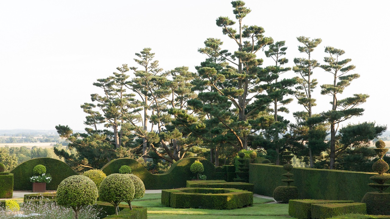 Photo of Outdoor in Bazouges-la-Perouse
