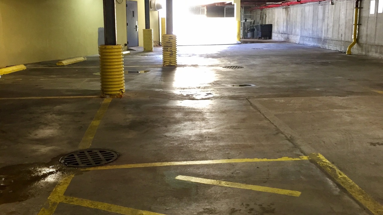 Photo of Others in Sheepshead Bay