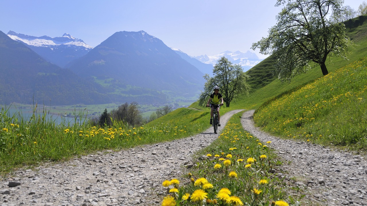 Photo of Outdoor in Wilen