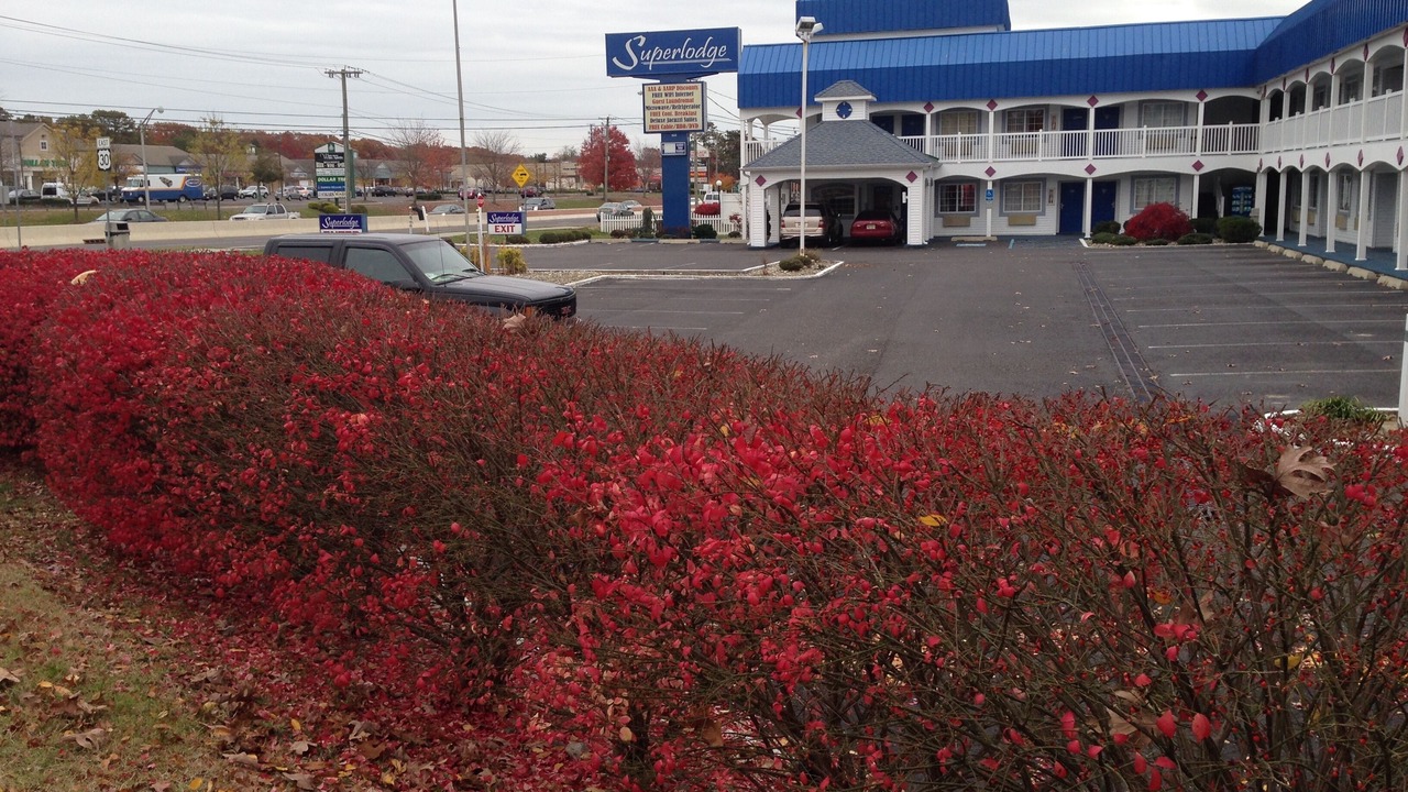 Photo of Outdoor in Absecon