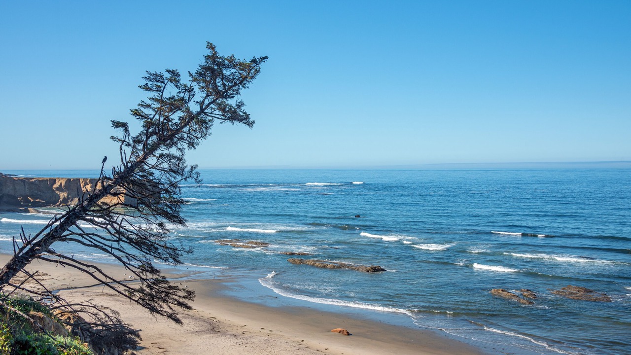 Photo of Others in Otter Rock