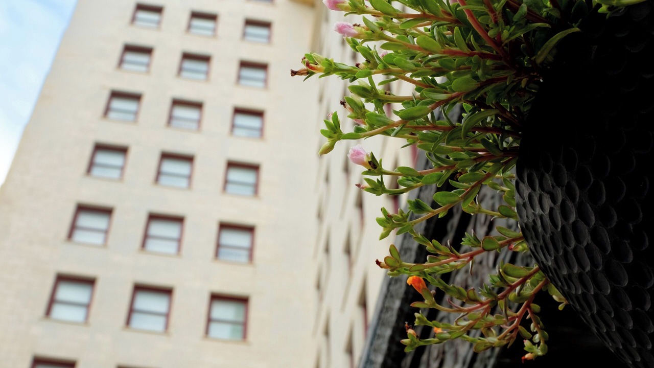 Photo of Outdoor in Business District