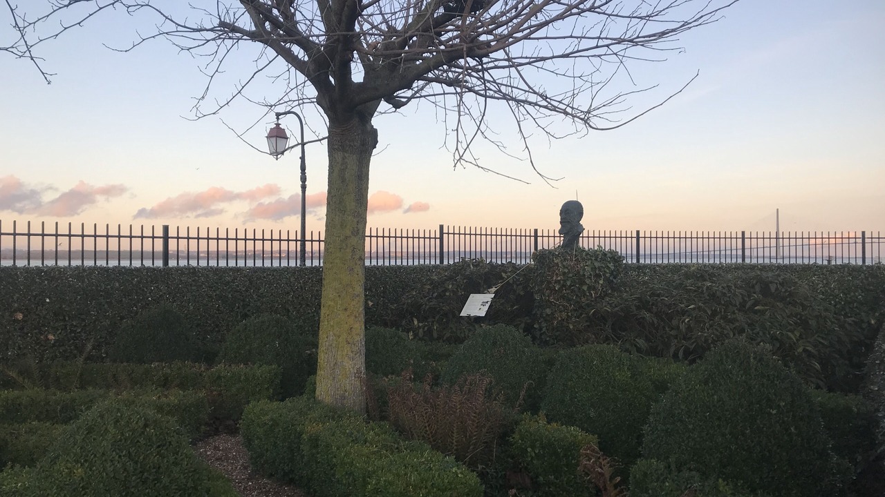 Photo of Others in Honfleur