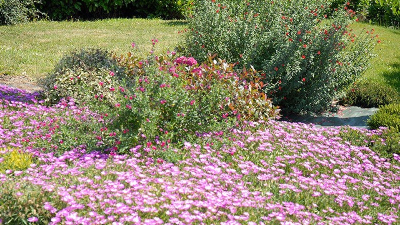 Photo of Outdoor in Plerin