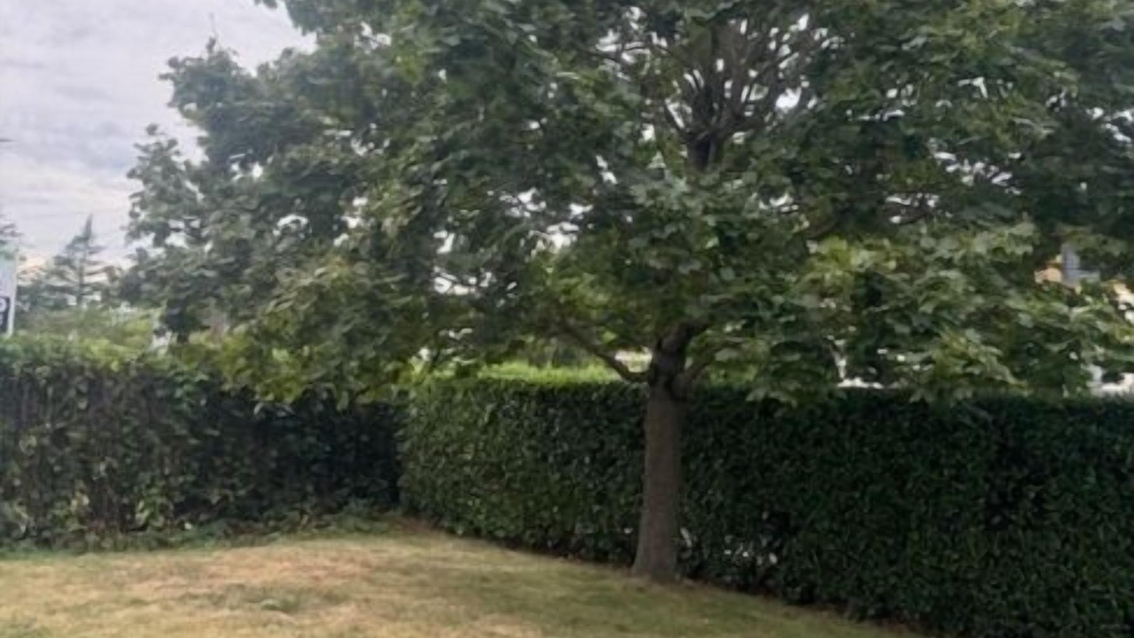 Photo of Outdoor in Herblay