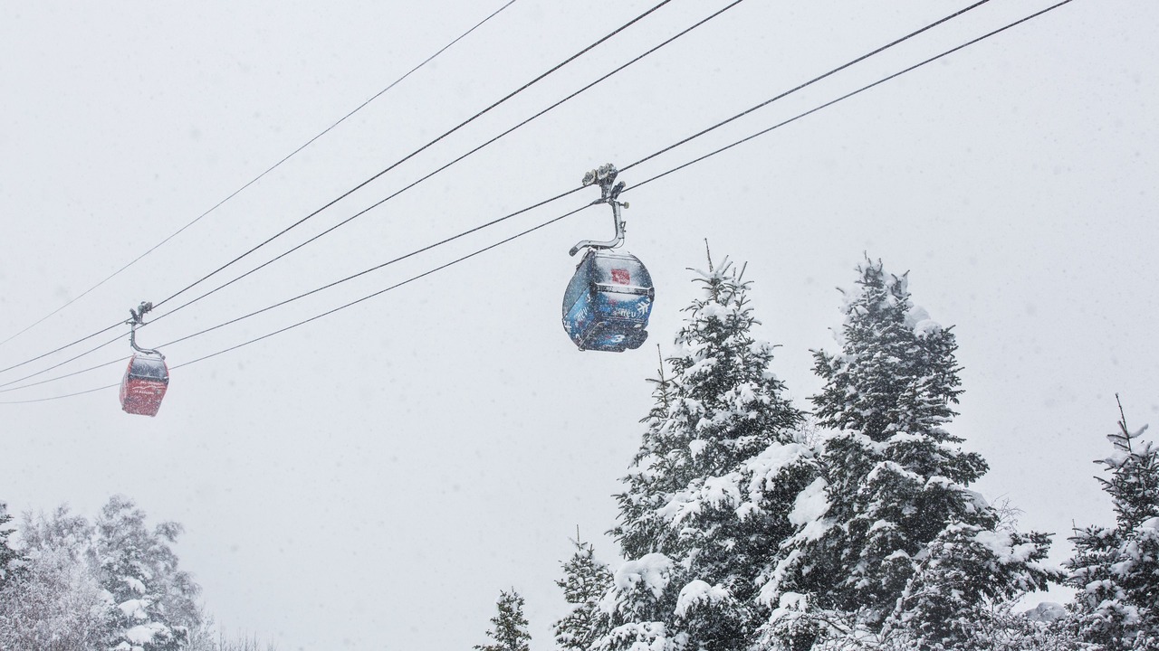 Photo of Others in La Massana