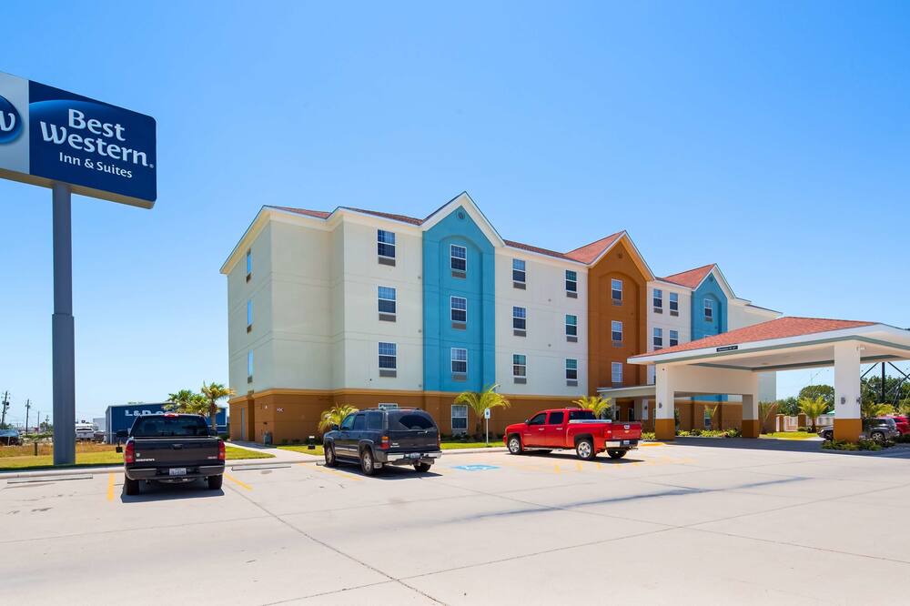 Photo of Outdoor in Ingleside