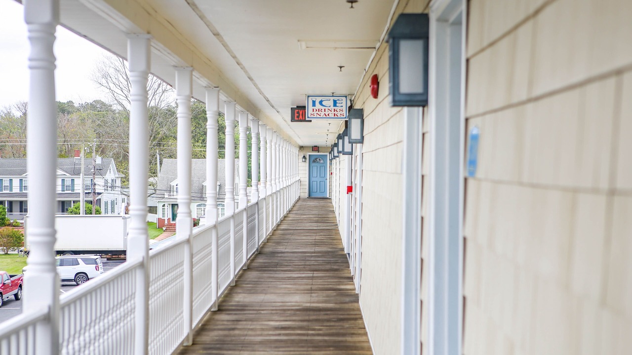 Photo of Outdoor in Chincoteague