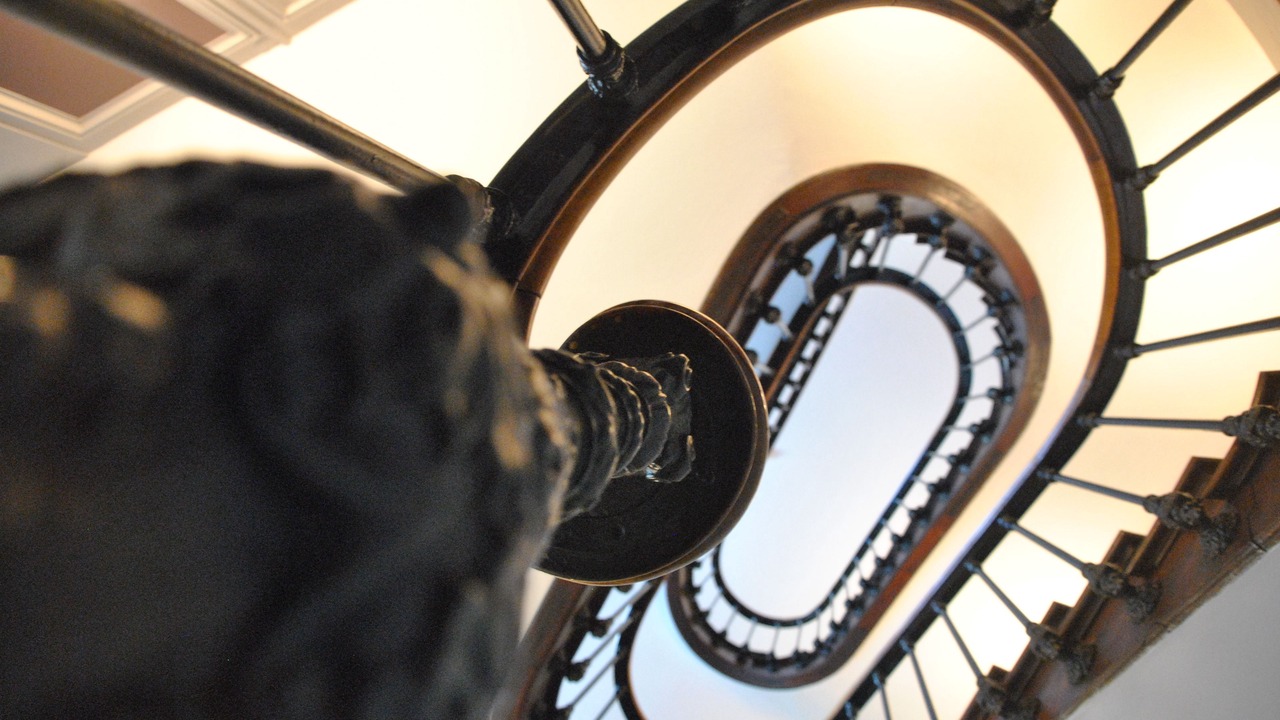 Photo of Others in Poitiers