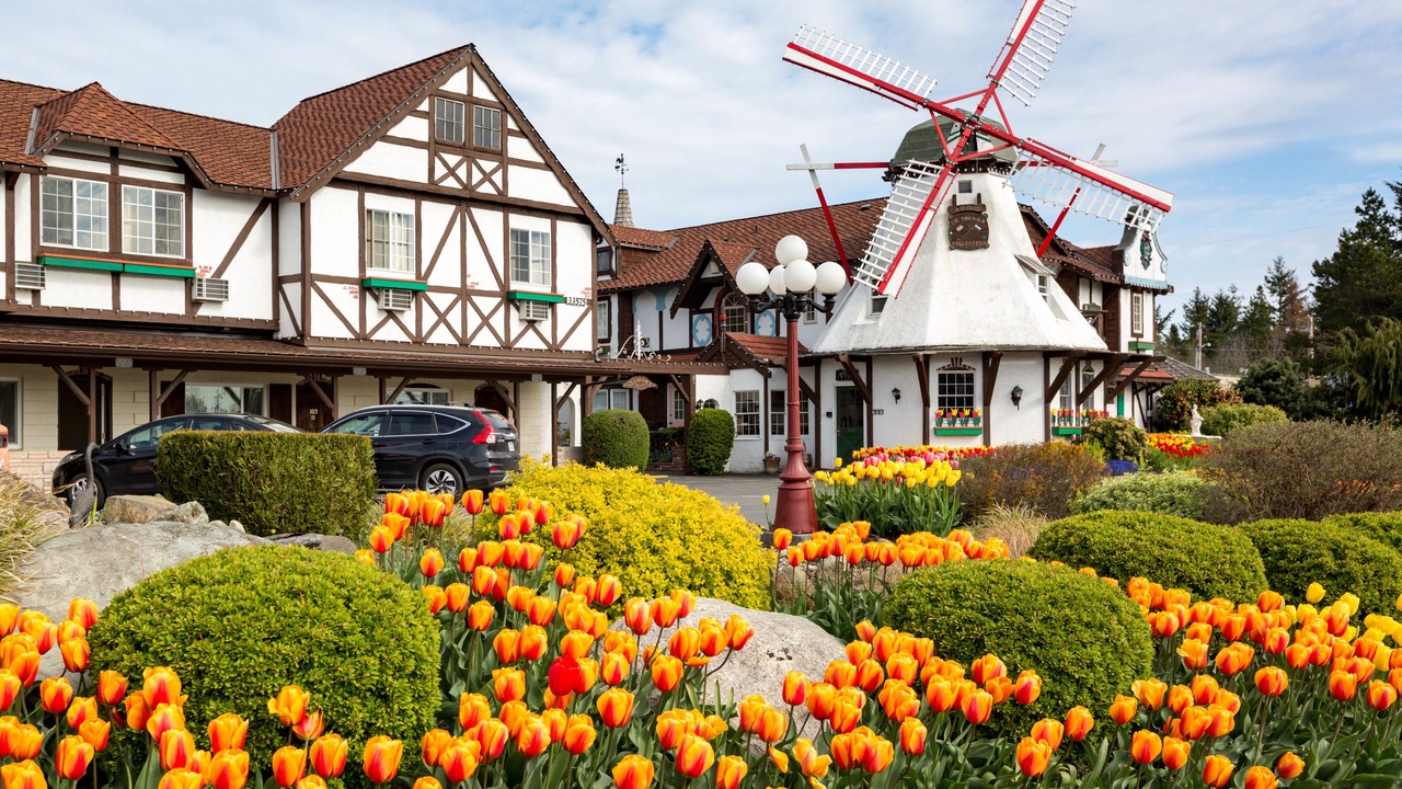 Photo of Outdoor in Oak Harbor