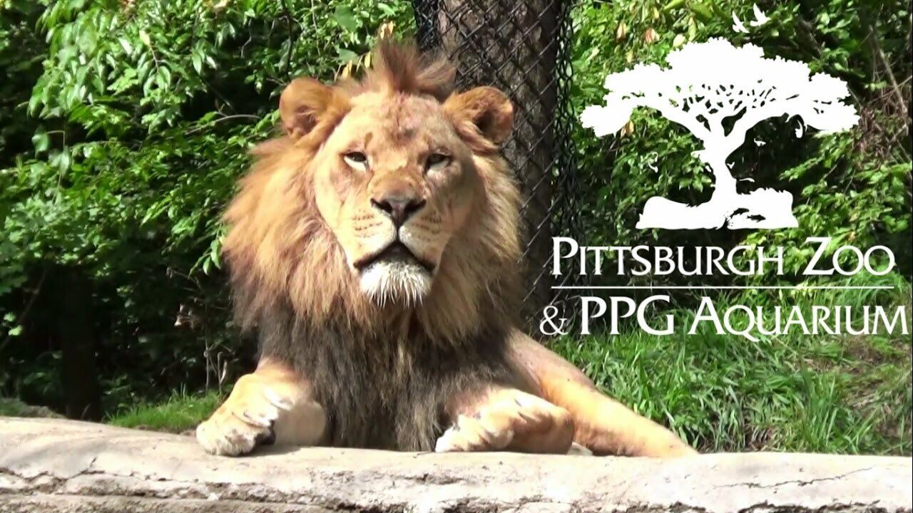 Photo of Others in Downtown Pittsburgh