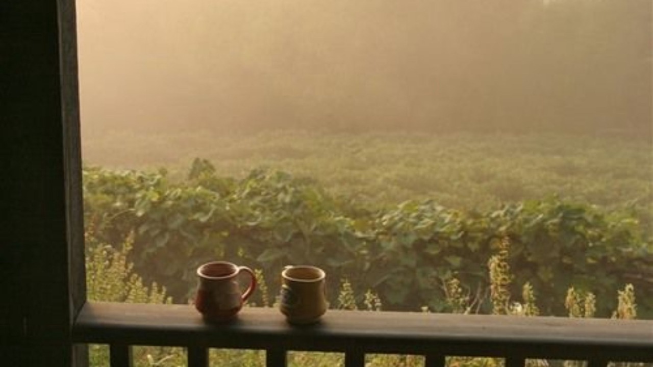 Photo of Others in Hermann