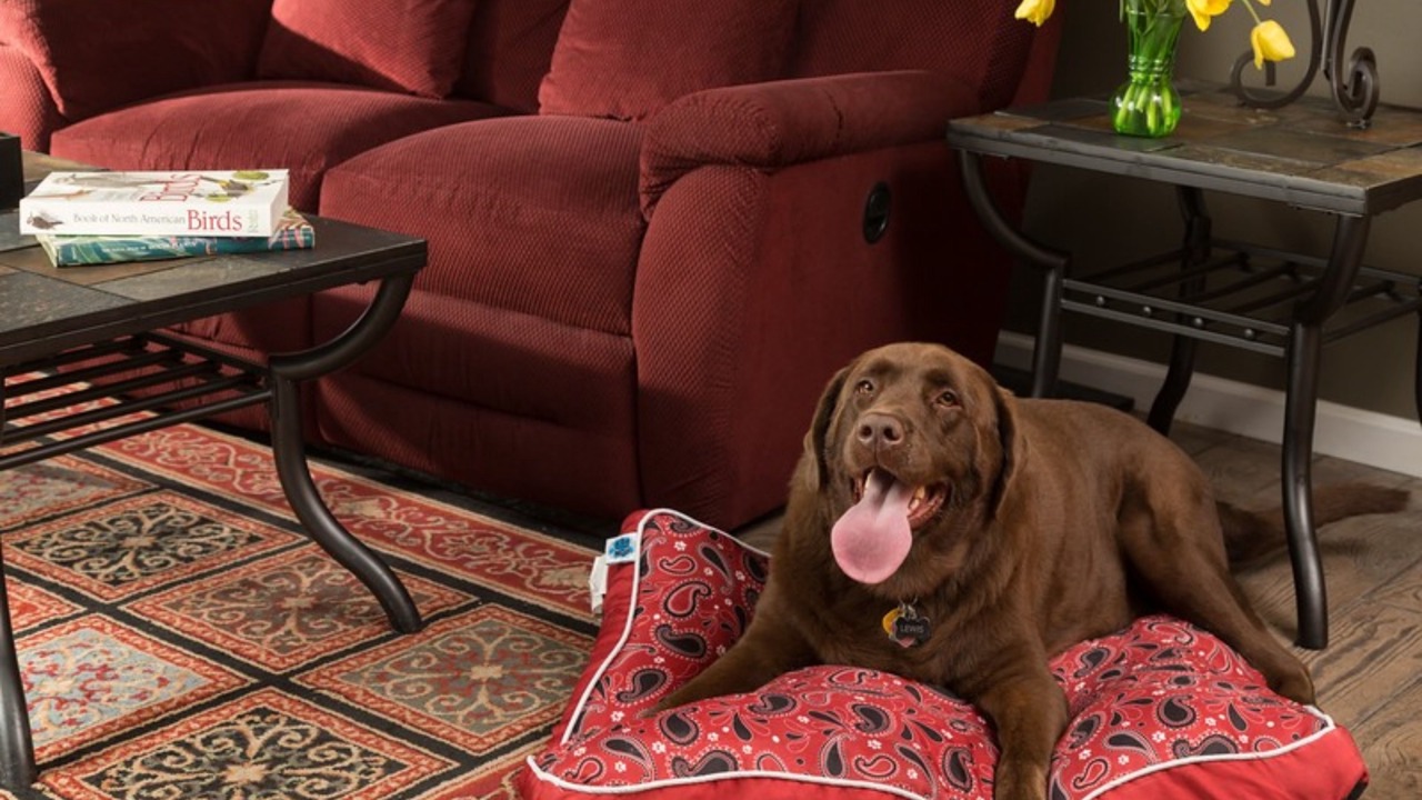 Photo of Others in Hermann