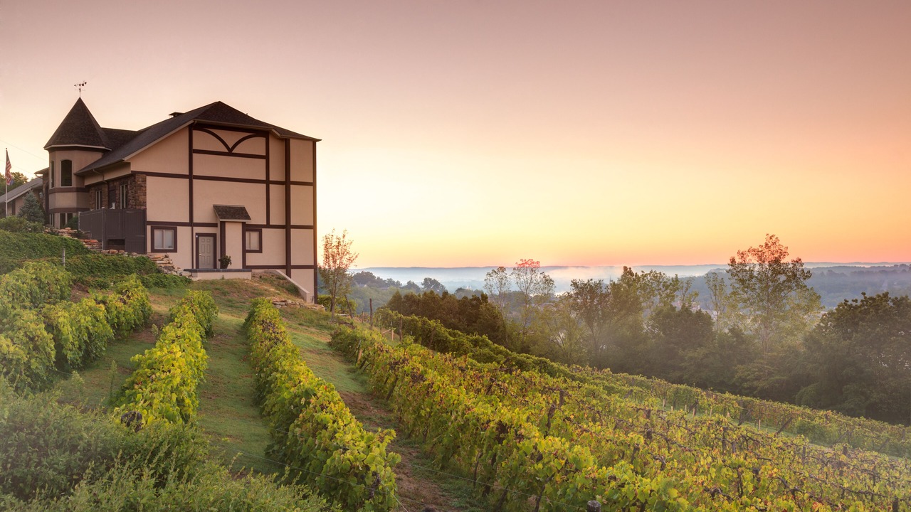 Photo of Others in Hermann