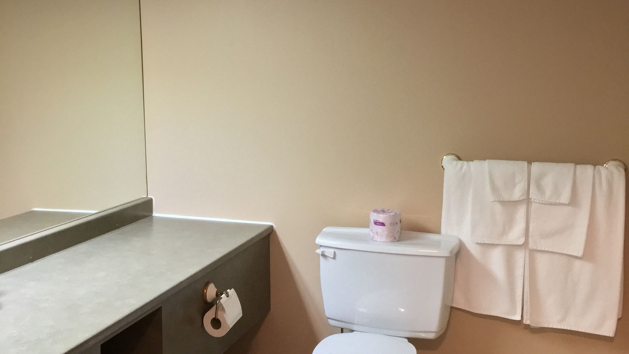 Photo of Bathroom in Baie-St-Paul