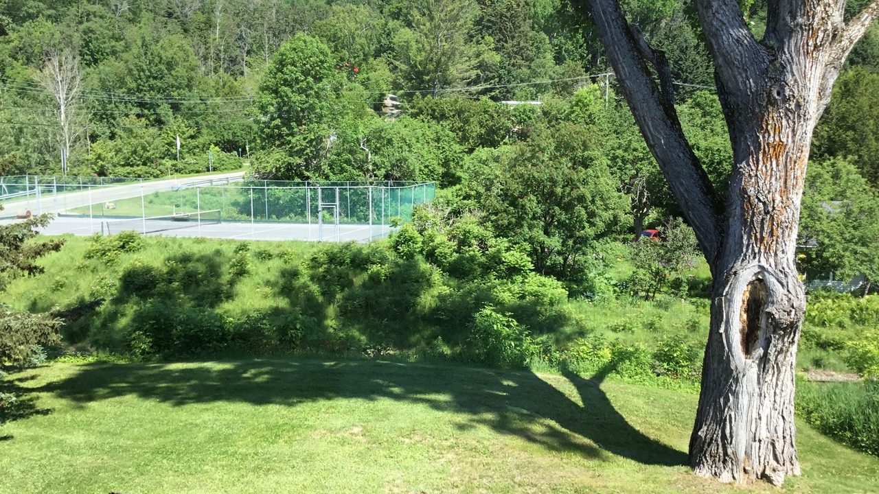 Photo of Outdoor in Saint-Joseph-de-la-Rive