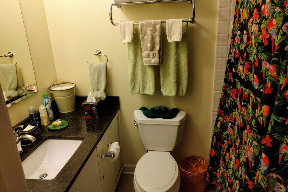 Photo of Bathroom in Old Fourth Ward
