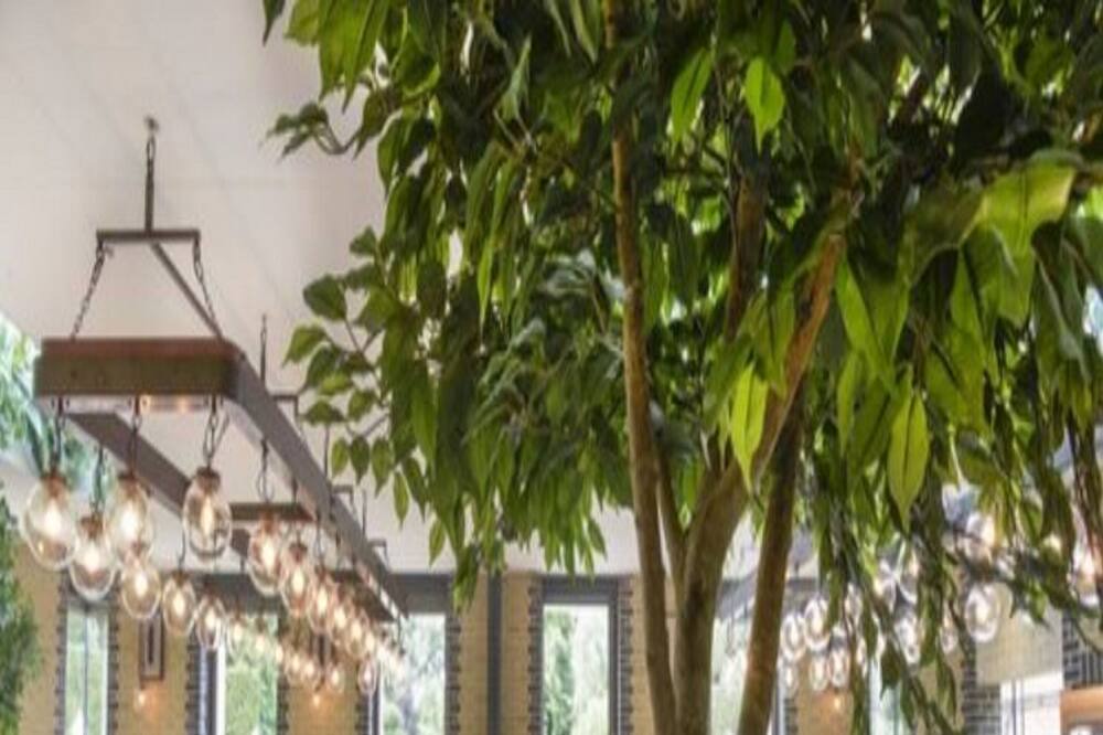 Photo of Others in Brome