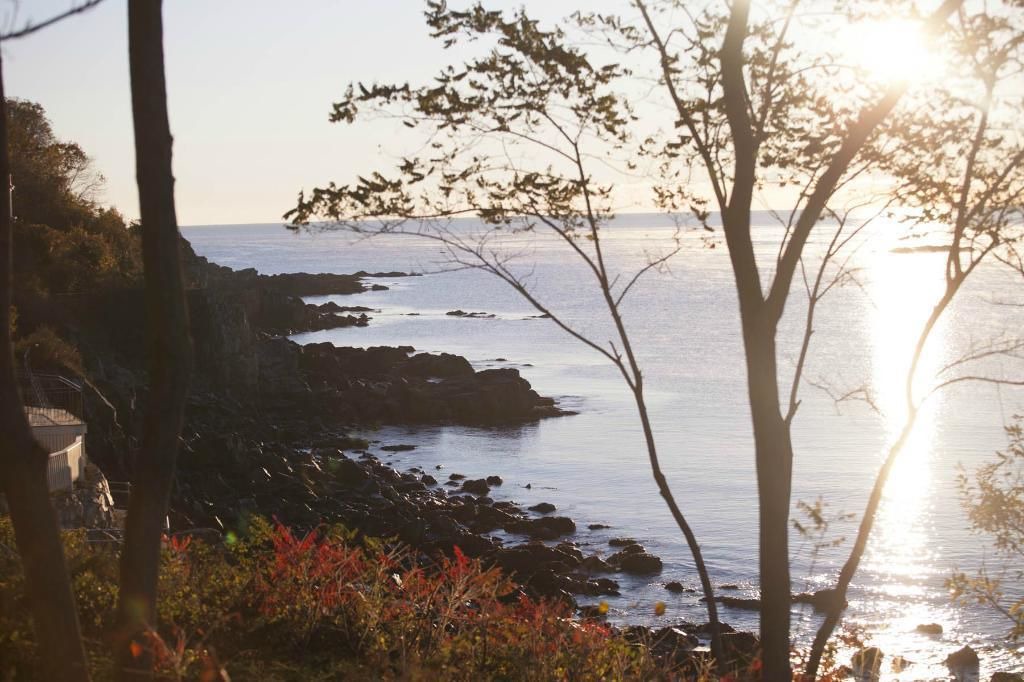 Photo of Others in York Harbor