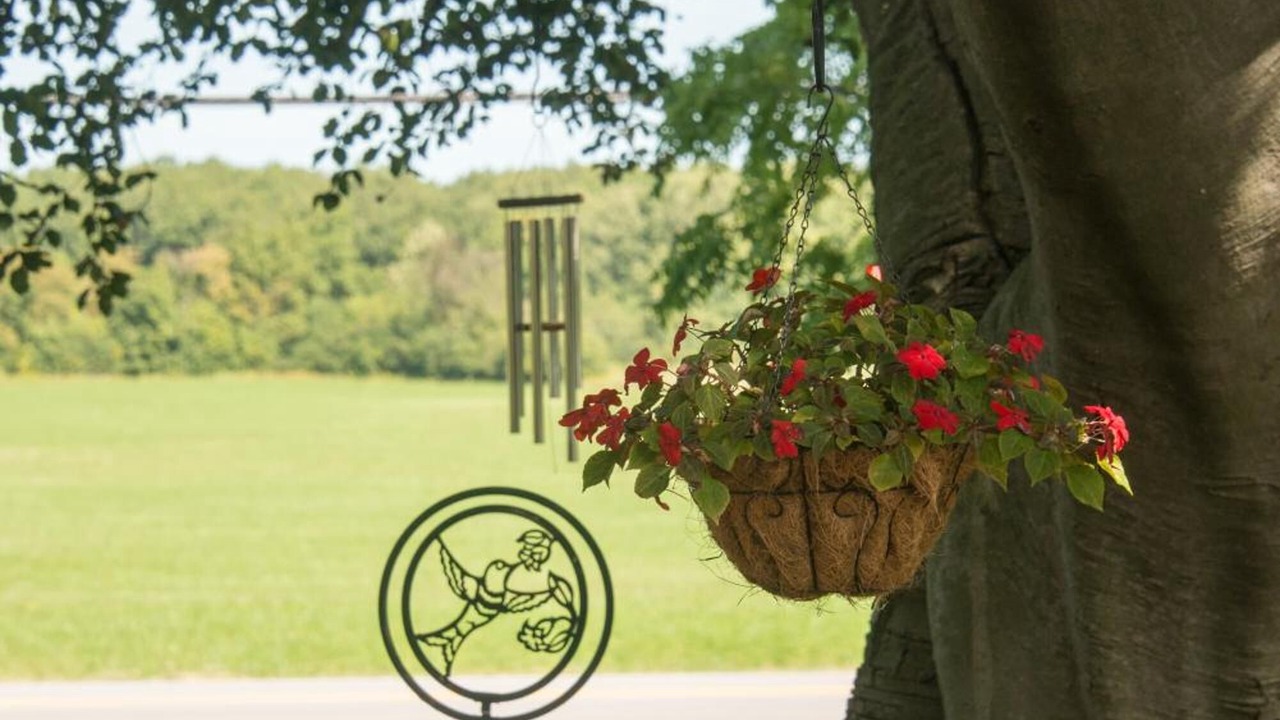 Photo of Outdoor in Canandaigua