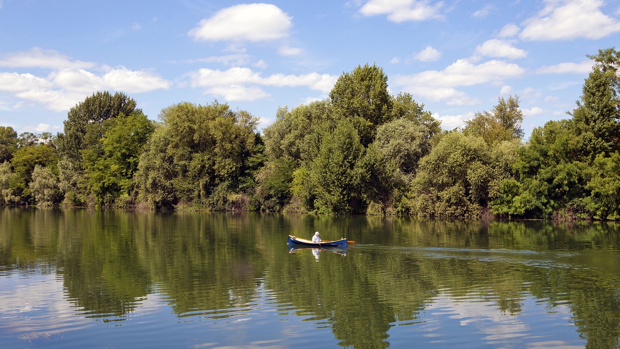 Photo of Others in Chatou