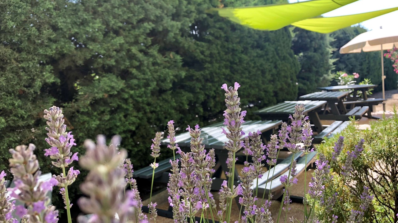 Photo of Others in Perpignan