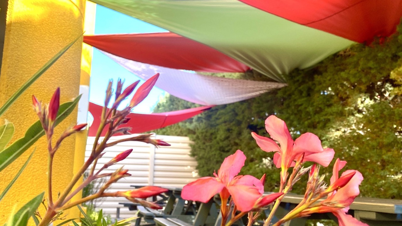 Photo of Outdoor in Perpignan