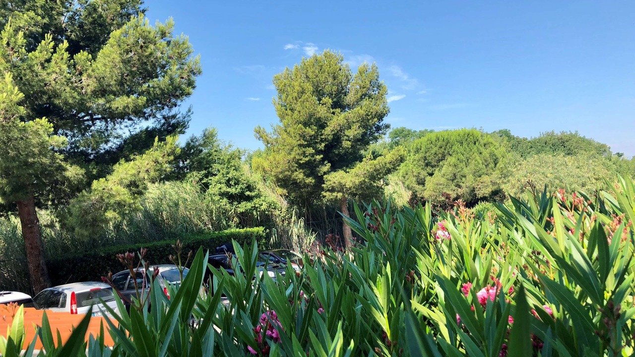 Photo of Outdoor in Perpignan