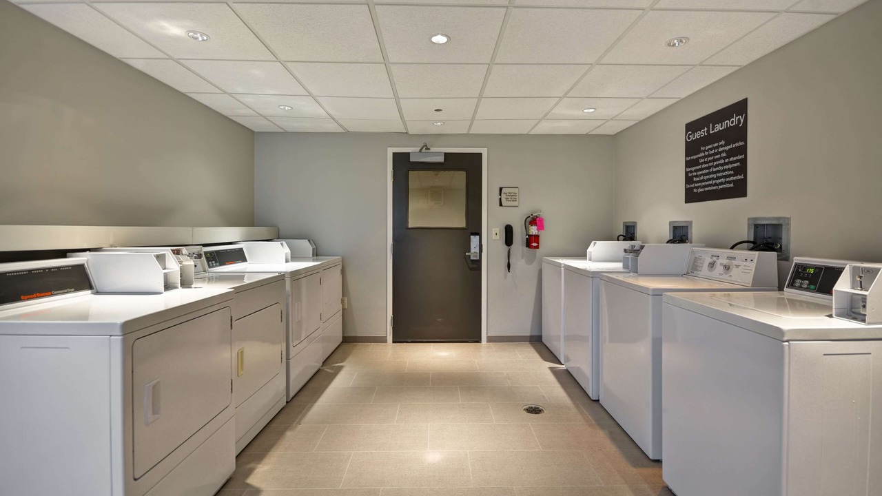 Photo of Others in Ithaca