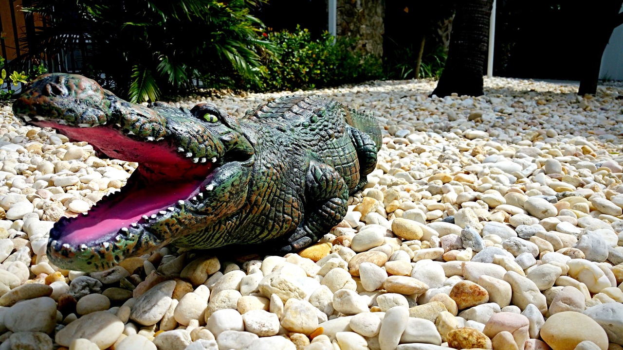 Photo of Outdoor in Caloosahatchee