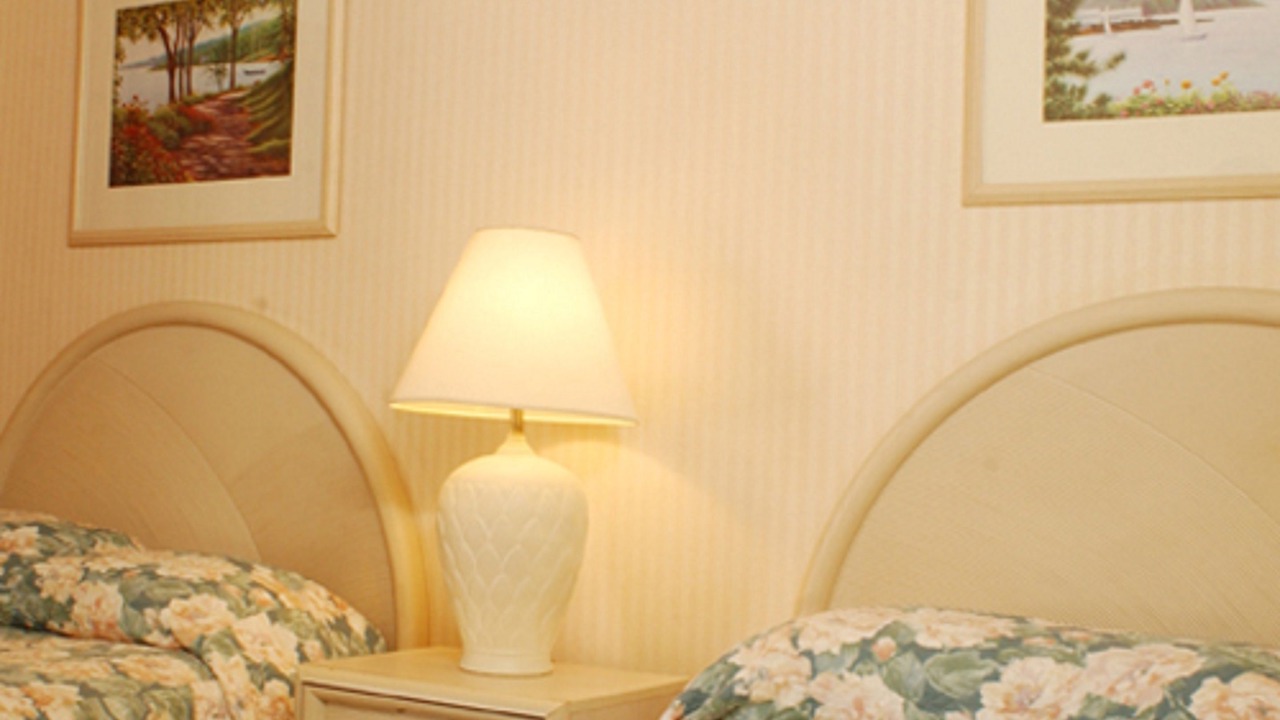 Photo of Others in Ithaca