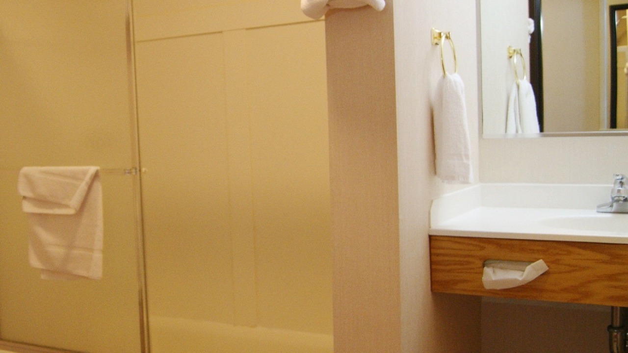 Photo of Others in Ithaca