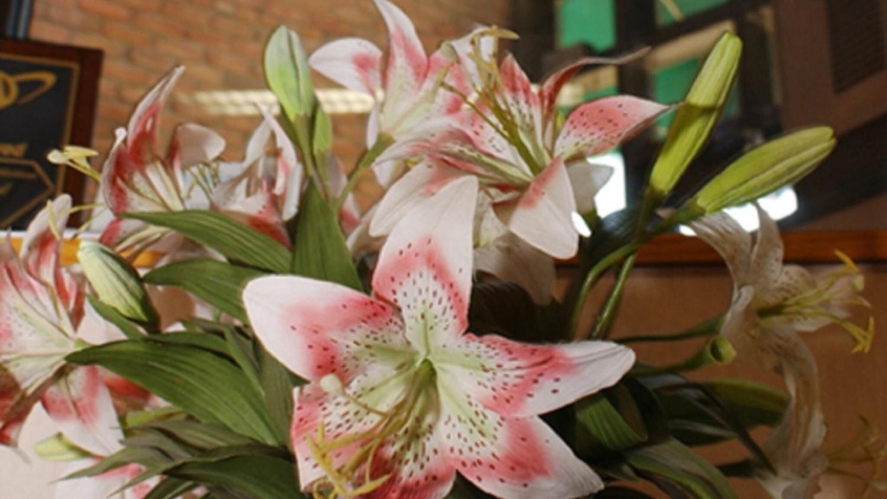 Photo of Others in Ithaca