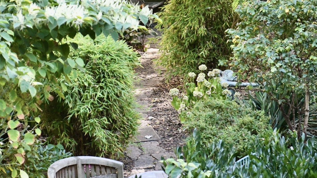 Photo of Outdoor in Indre by