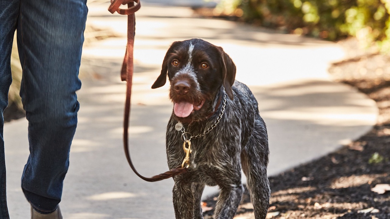Photo of Others in Calistoga