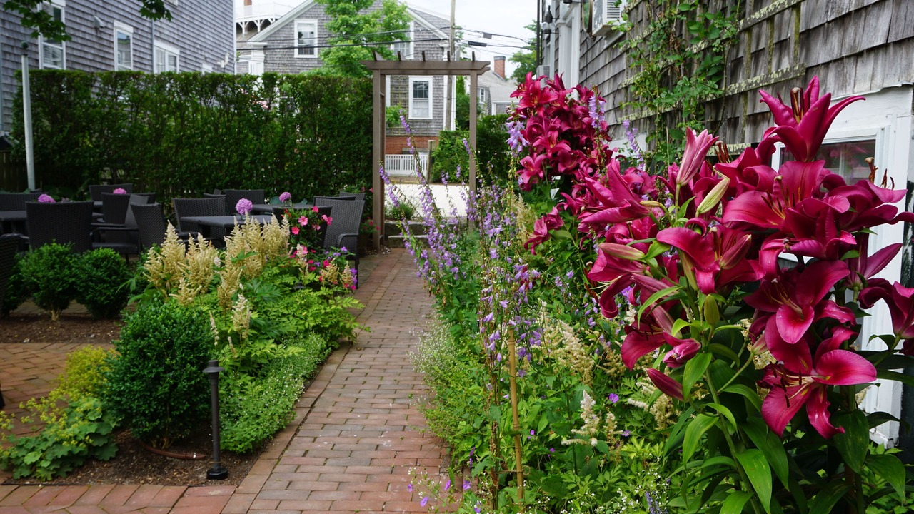 Photo of Outdoor in Nantucket Town