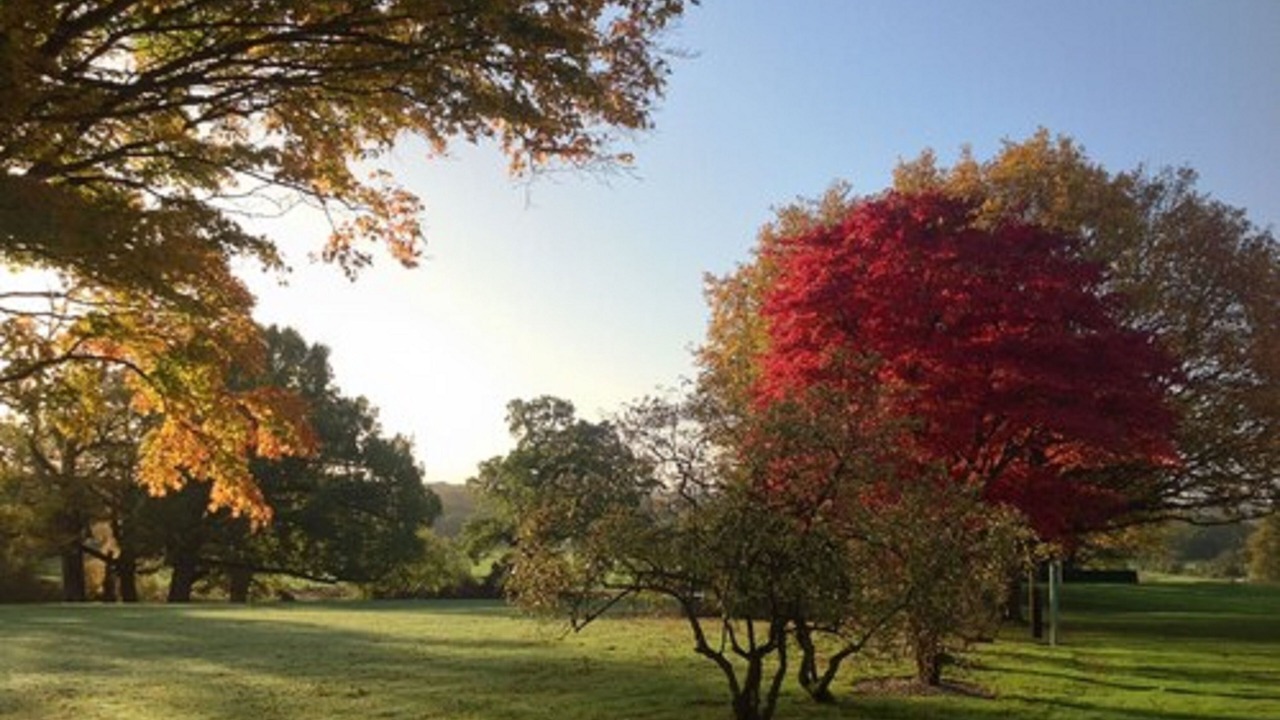 Photo of Outdoor in Heckfield