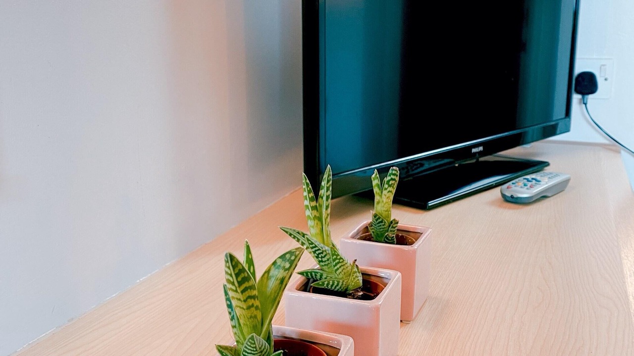 Photo of Others in Little Stukeley