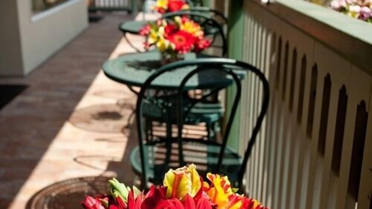 Photo of Outdoor in Lambertville