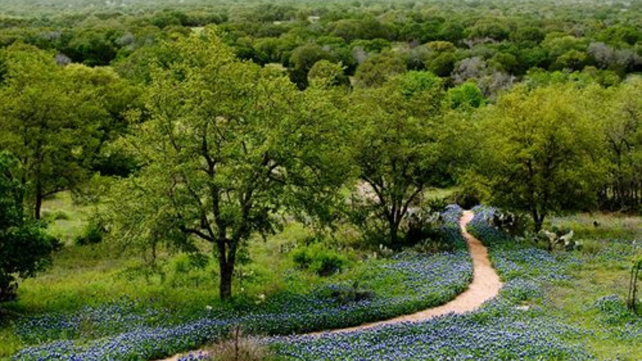 Photo of Outdoor in Kyle