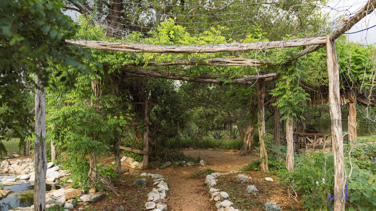 Photo of Outdoor in Kyle