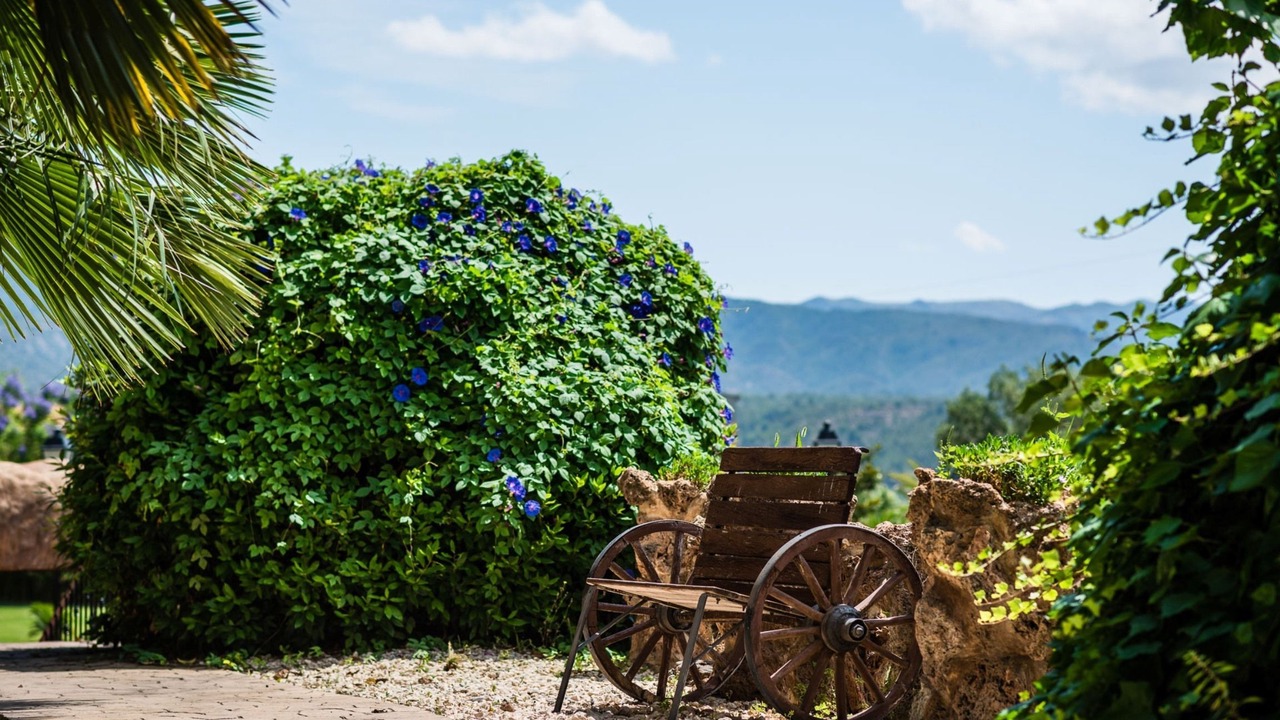 Photo of Outdoor in Xerta