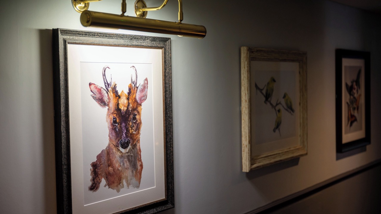 Photo of Others in Camberley