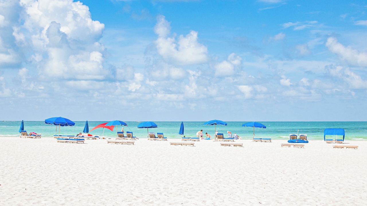 Photo of Others in Madeira Beach
